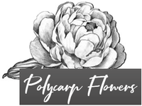 Polycarp Flowers
