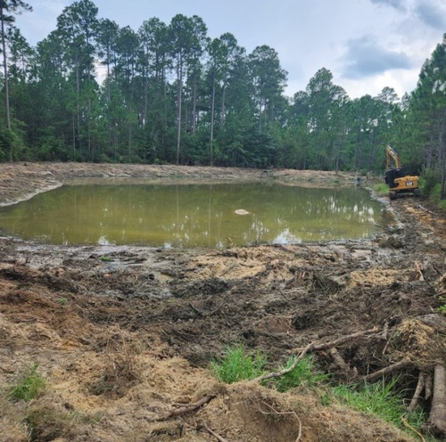 Gallery Image Screenshot%202026-01-06%20091941.jpg