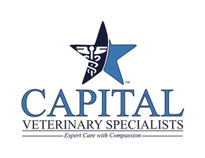 Capital Veterinary Specialists