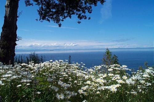 Strait of Juan de Fuca, Victoria British Columbia, San Juan Islands