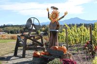 Our Harvest Bell and Vinyard Angel