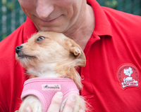 Let us care for your precious pup while you're away.
