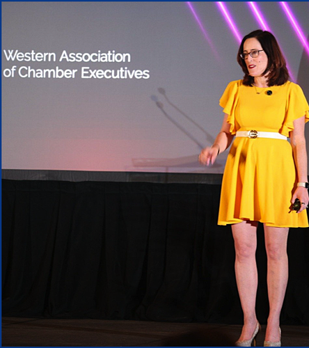 Gallery Image Screen%20Shot%202026-04-09%20at%202.29.55%20AM.png