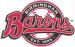 Birmingham Barons LLC