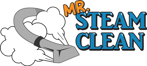 Mr. Steam Clean LLC