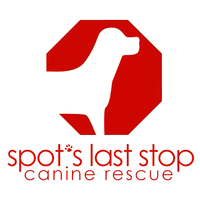 Spots Last Stop Canine Rescue