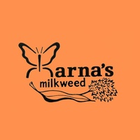 Marna's Milkweed