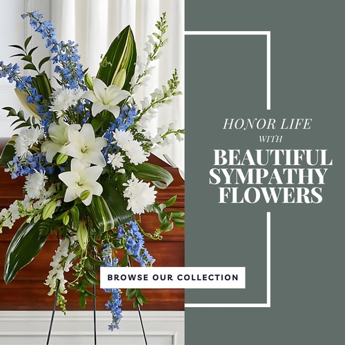 Gallery Image 641312598_1592918165533226_3631396079653857142_n.jpg