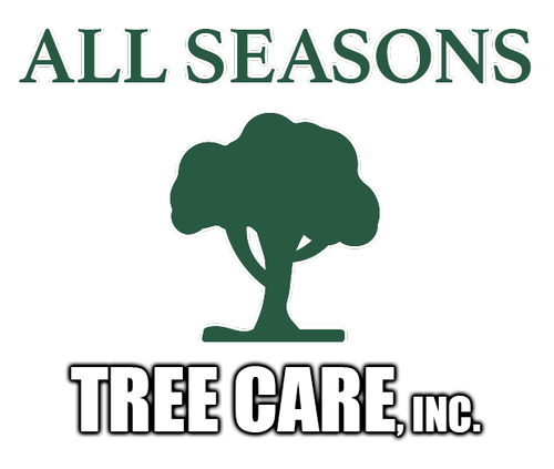 Gallery Image marin-builders-all-seasons-tree-care-logo.png