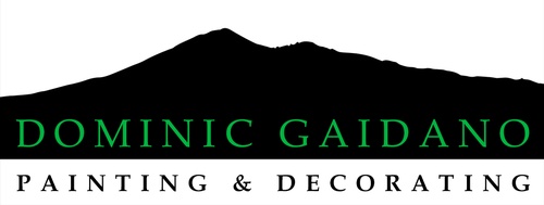 Gallery Image marin-builders-dominic-gaidano-painting-decorating-logo-banner.jpg