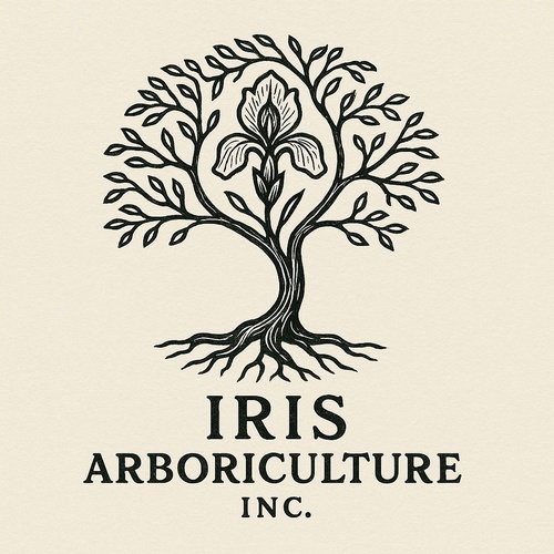 Gallery Image marin-builders-iris-arboriculture-logo_190126-044256.JPG