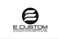 E Custom Painting