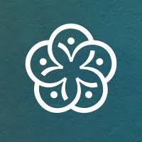 Options Medical Weight Loss 