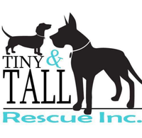 Tiny N Tall Rescue, Inc.
