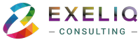 Exeliq Consulting Inc