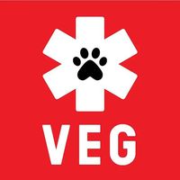 Veterinary Emergency Group 