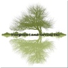 Evergreen Land Services Inc. Evergreen Land Services Inc.