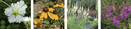 Gallery Image Screenshot%202025-10-14%20at%204.15.30%20PM.png Gallery Image Screenshot%202025-10-14%20at%204.15.30%20PM.png