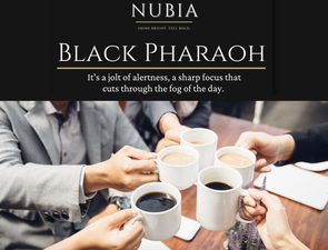 Nubia, LLC Nubia, LLC