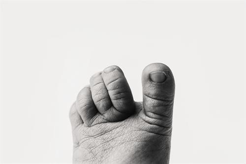 Gallery Image DSC_9808(1).jpg