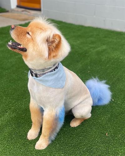 Gallery Image 1100B2CB-EFC2-4708-8AFC-E15966A1C029.jpg Gallery Image 1100B2CB-EFC2-4708-8AFC-E15966A1C029.jpg