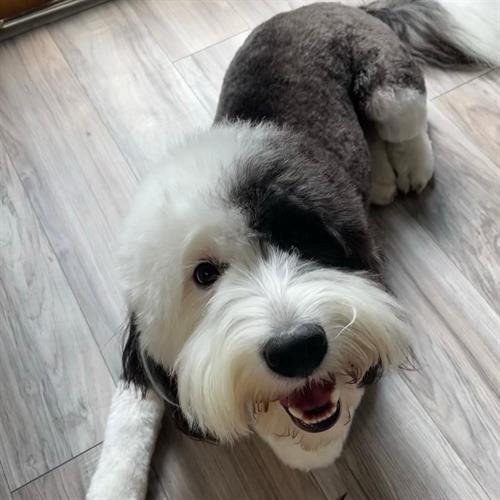 Gallery Image 260A3B05-036F-4027-BDDF-4098E3EB222A.jpg Gallery Image 260A3B05-036F-4027-BDDF-4098E3EB222A.jpg