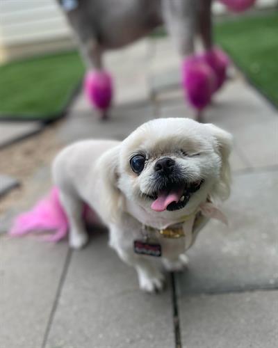 Gallery Image 49B6C3AC-30E2-470A-9BBB-638F1A0AB67F.jpg Gallery Image 49B6C3AC-30E2-470A-9BBB-638F1A0AB67F.jpg