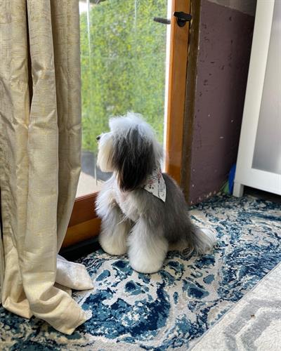 Gallery Image 87D3A06E-80C6-47AA-A8D5-9BE05367F7B3.jpg Gallery Image 87D3A06E-80C6-47AA-A8D5-9BE05367F7B3.jpg