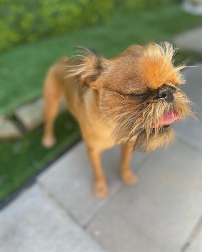 Gallery Image 8E79FB2B-73AA-4994-850F-FB962B079D14.jpg Gallery Image 8E79FB2B-73AA-4994-850F-FB962B079D14.jpg