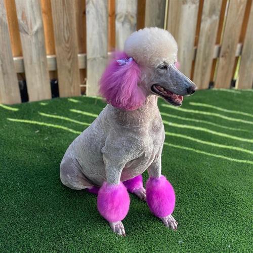 Gallery Image E90105C3-B073-4013-8A8E-92846311B13F.jpg Gallery Image E90105C3-B073-4013-8A8E-92846311B13F.jpg