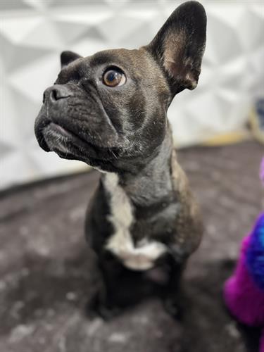 Gallery Image IMG_0314.jpeg Gallery Image IMG_0314.jpeg