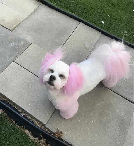 Gallery Image IMG_0381.jpeg Gallery Image IMG_0381.jpeg