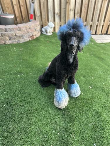 Gallery Image IMG_0501.jpeg Gallery Image IMG_0501.jpeg