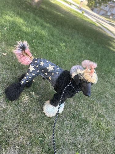 Gallery Image IMG_0750.jpeg Gallery Image IMG_0750.jpeg