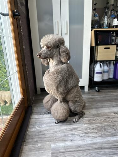 Gallery Image IMG_0765.jpeg Gallery Image IMG_0765.jpeg