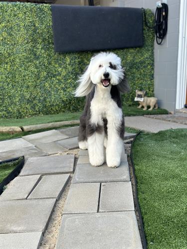 Gallery Image IMG_1251.jpeg Gallery Image IMG_1251.jpeg