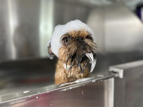 Gallery Image IMG_1739.jpeg Gallery Image IMG_1739.jpeg