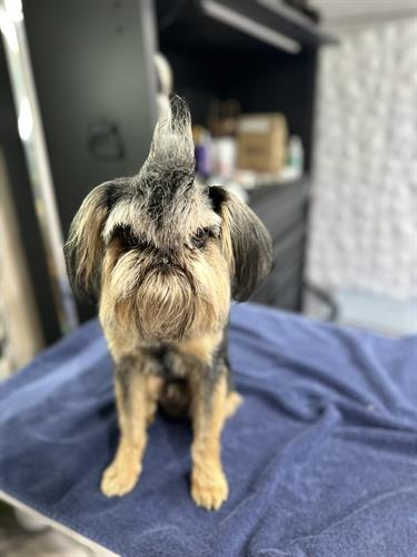 Gallery Image IMG_1755.jpeg Gallery Image IMG_1755.jpeg