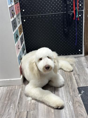 Gallery Image IMG_2108.jpeg Gallery Image IMG_2108.jpeg