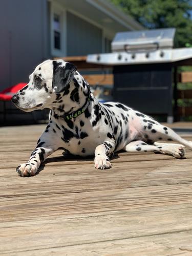 Gallery Image IMG_3894.JPEG