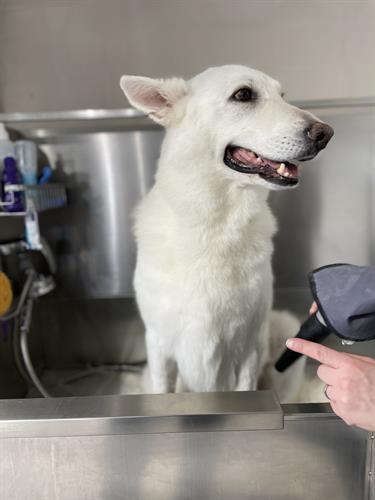 Gallery Image IMG_4811.jpeg Gallery Image IMG_4811.jpeg