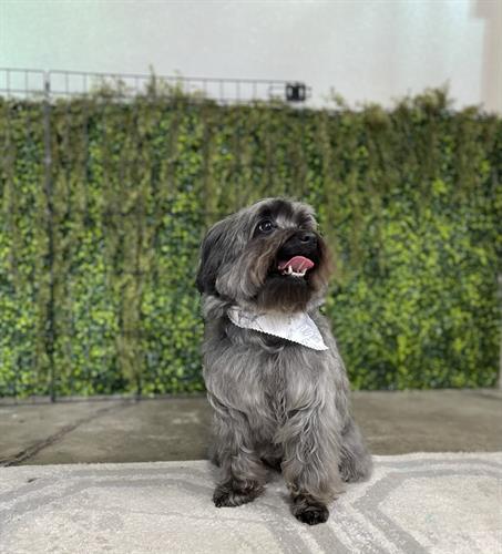 Gallery Image IMG_5163.jpeg Gallery Image IMG_5163.jpeg