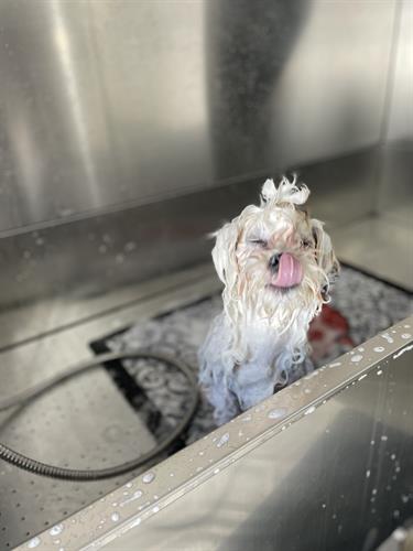 Gallery Image IMG_5277.jpeg Gallery Image IMG_5277.jpeg