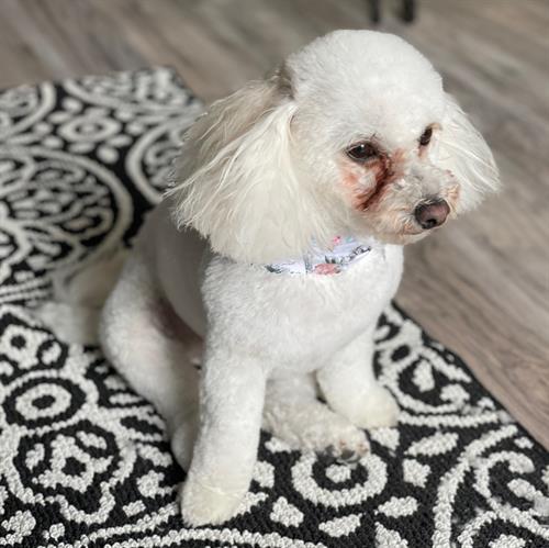 Gallery Image IMG_5540_(1).jpg