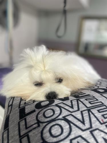 Gallery Image IMG_5860.jpeg Gallery Image IMG_5860.jpeg