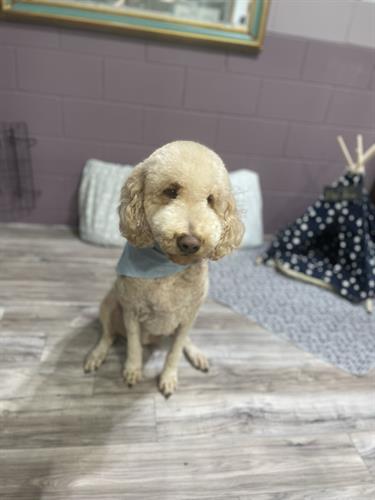 Gallery Image IMG_6278.jpeg Gallery Image IMG_6278.jpeg