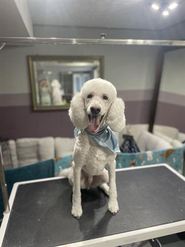 Gallery Image IMG_7198.jpeg Gallery Image IMG_7198.jpeg