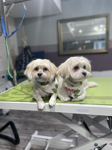 Gallery Image IMG_7281.jpeg Gallery Image IMG_7281.jpeg