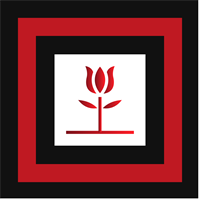 Gallery Image Social_Profile_Mirko.png Gallery Image Social_Profile_Mirko.png