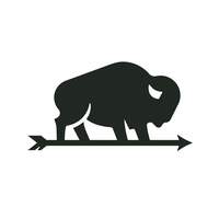 Nebraska Bison